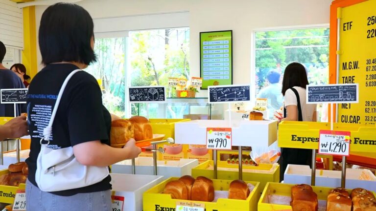 국내 빵 가격