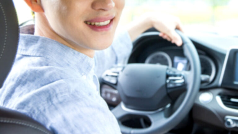 테슬라 로고, BYD 로고