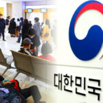 실손24 전면 확대
