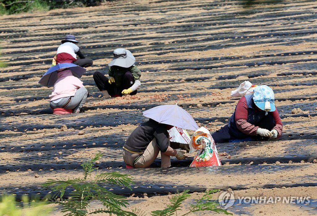 "드디어 3차 소비쿠폰?", "15만원씩 '24번' 더 준다"…李 대통령 '파격 결단'에 '활짝' 3 농촌 기본소득 시행