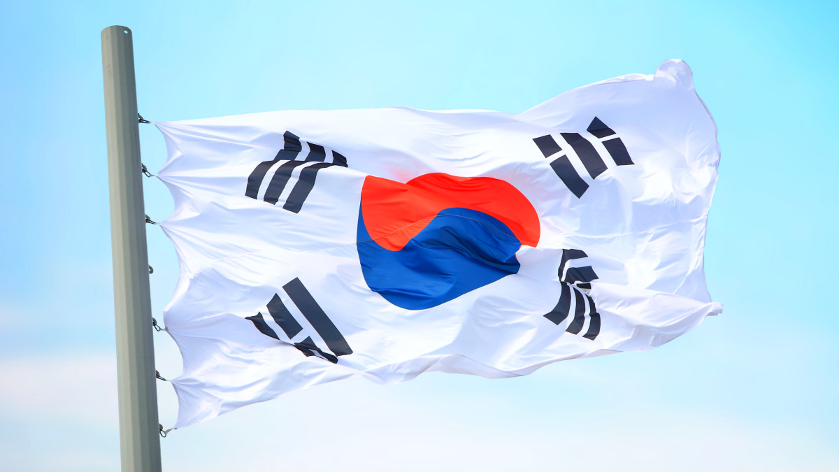 키위 한국 수출