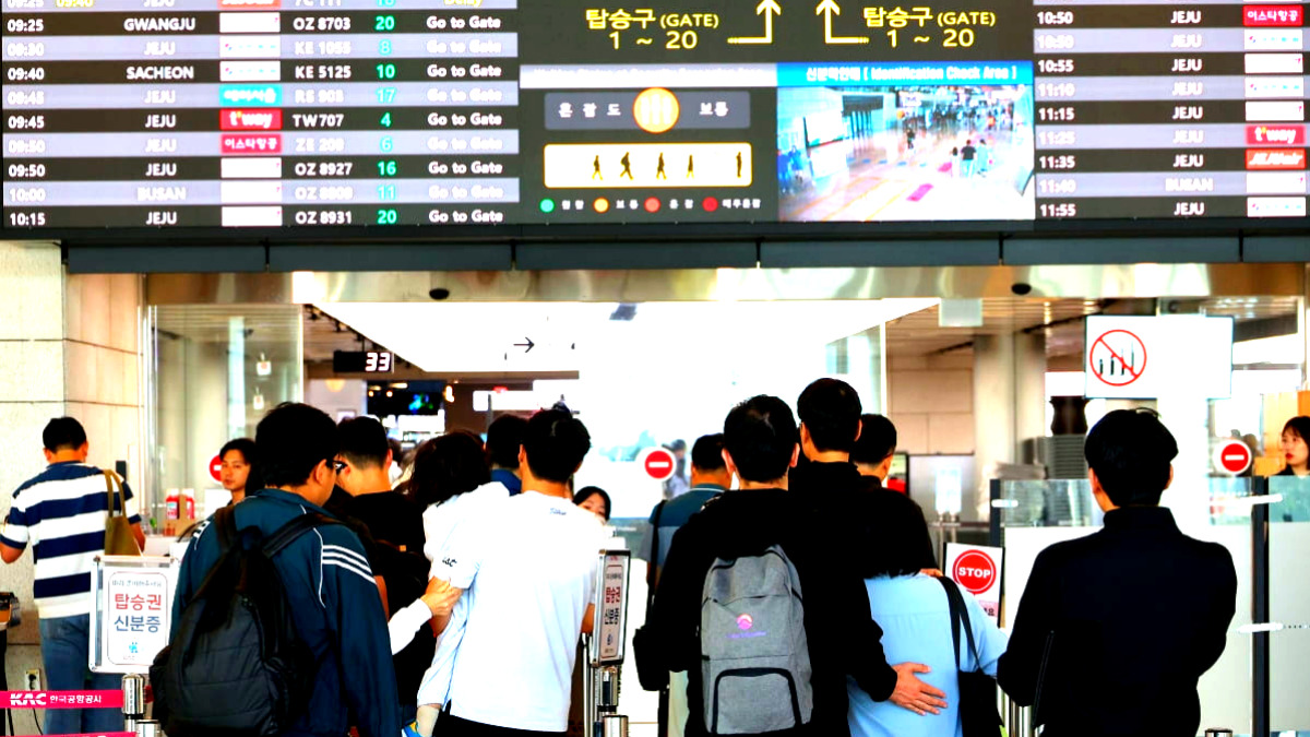 여행자보험 매출 급등