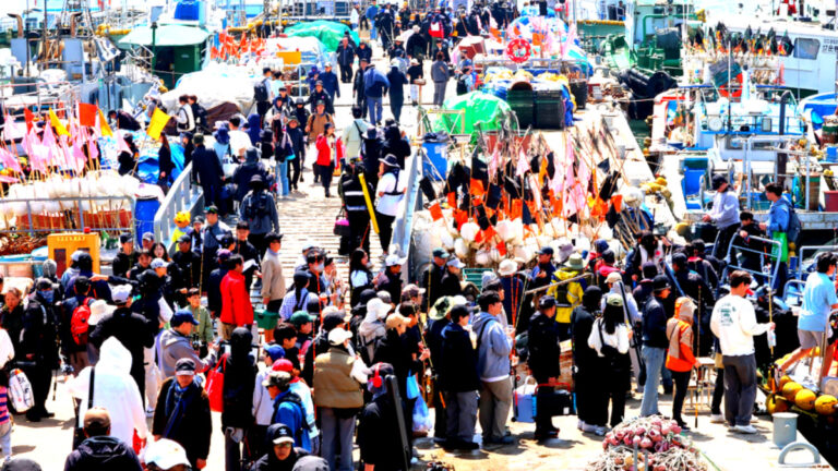 어업 지원 사업