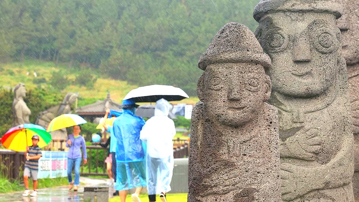 제주도 축제 부실 김밥