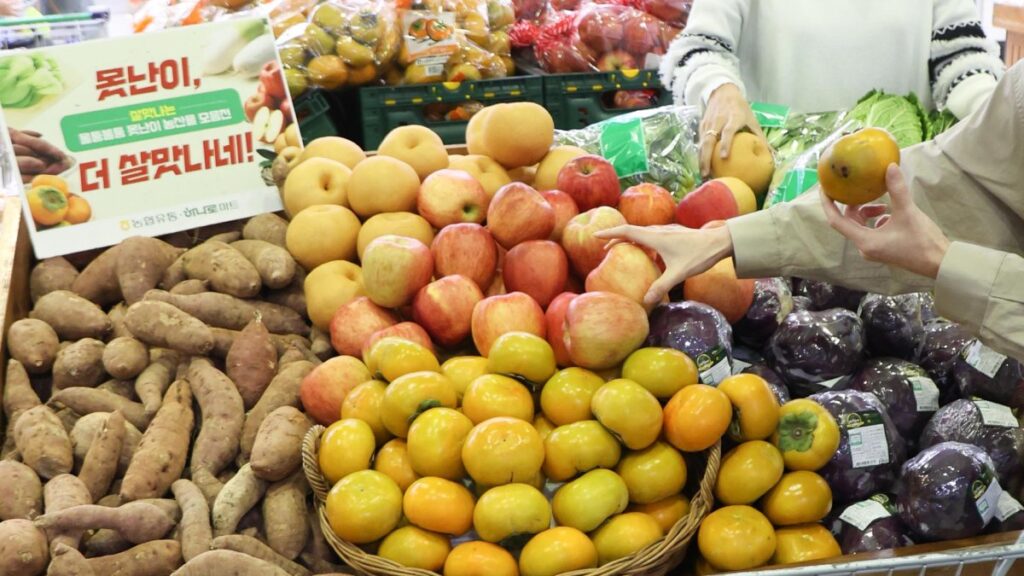 쿠팡 농산물 직매입