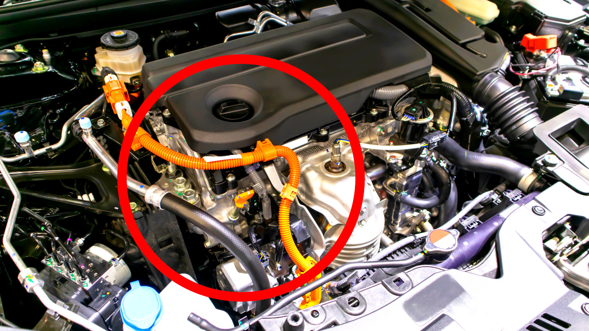 LPG 차량 경제성