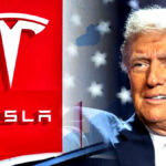 미국산 테슬라 수입 쿼터