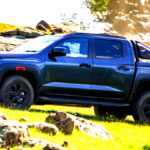 닛산 나바라 호주 시장