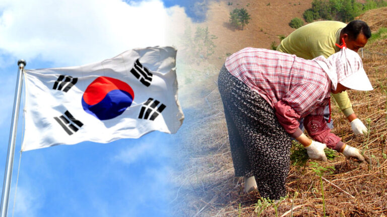 충주사과 해외 인기