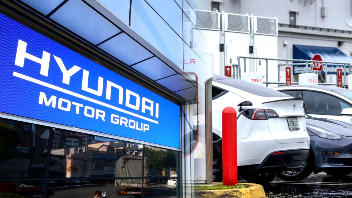 국내 친환경차 급성장