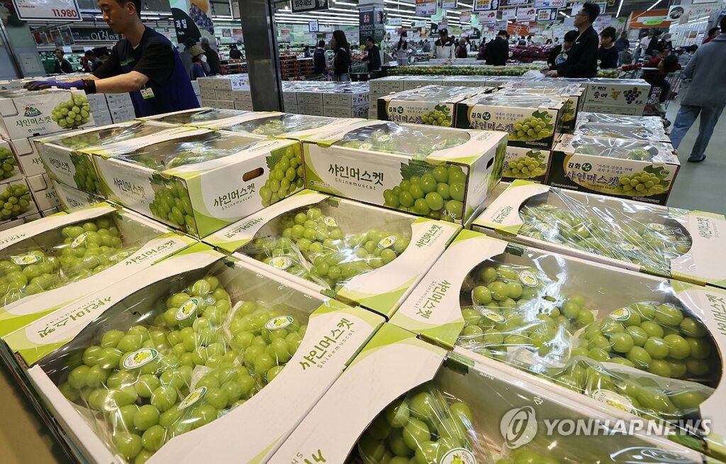 샤인머스캣 가격 급락