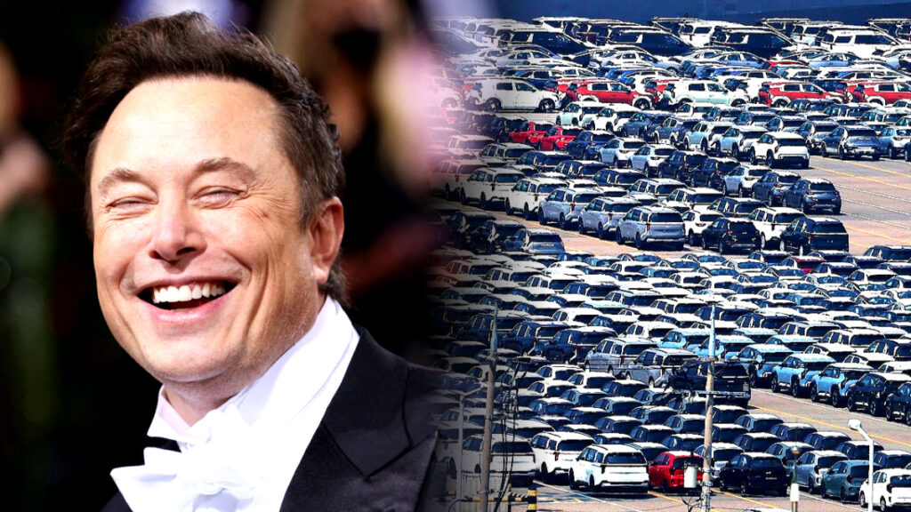 테슬라 모델 Y 가격 변동