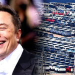 테슬라 모델 Y 가격 변동