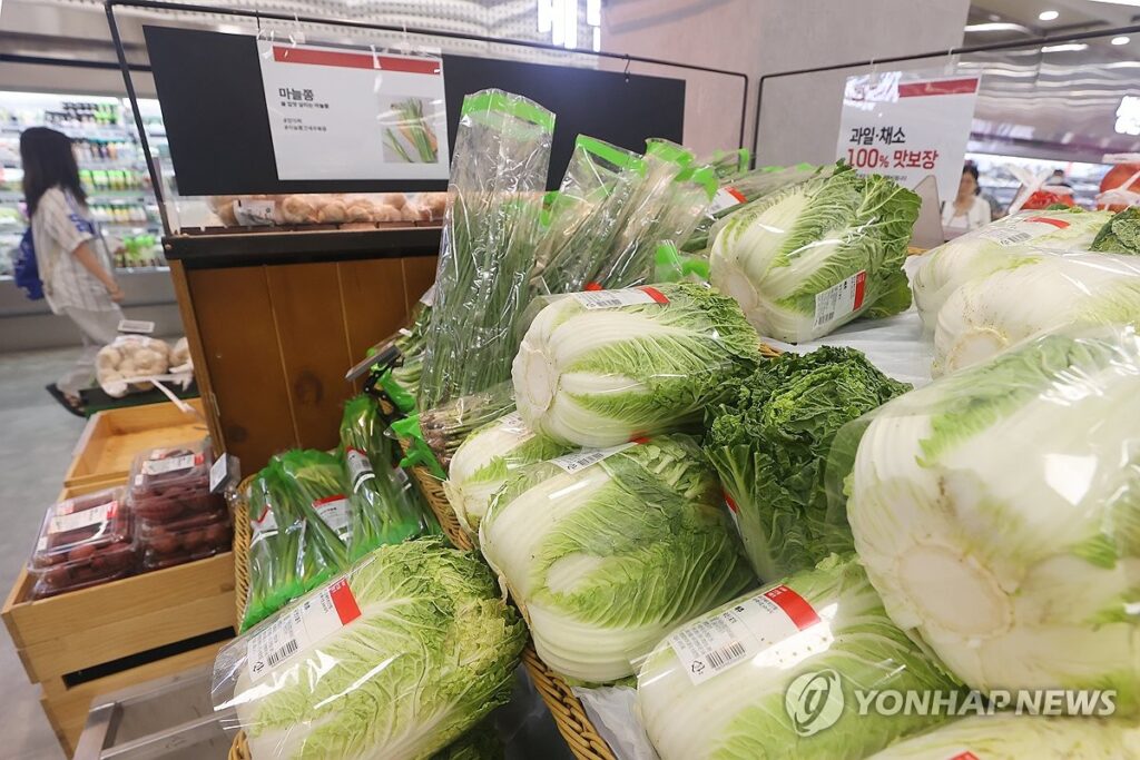 "배추 한 포기가 이 가격?"…김장철에 쏟아진 '파격 특가', 주부들 '줄 섰다' 2 김장철 배추 할인