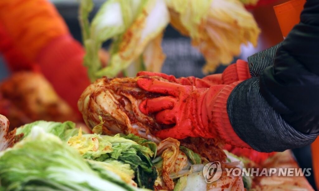 "배추 한 포기가 이 가격?"…김장철에 쏟아진 '파격 특가', 주부들 '줄 섰다' 4 김장철 배추 할인