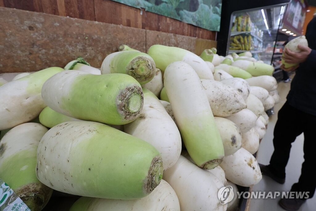 "배추 한 포기가 이 가격?"…김장철에 쏟아진 '파격 특가', 주부들 '줄 섰다' 3 김장철 배추 할인