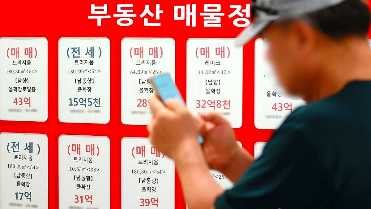 서울 전역 부동산 규제 반발