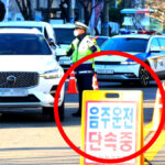 2026 도로교통법 변경사항