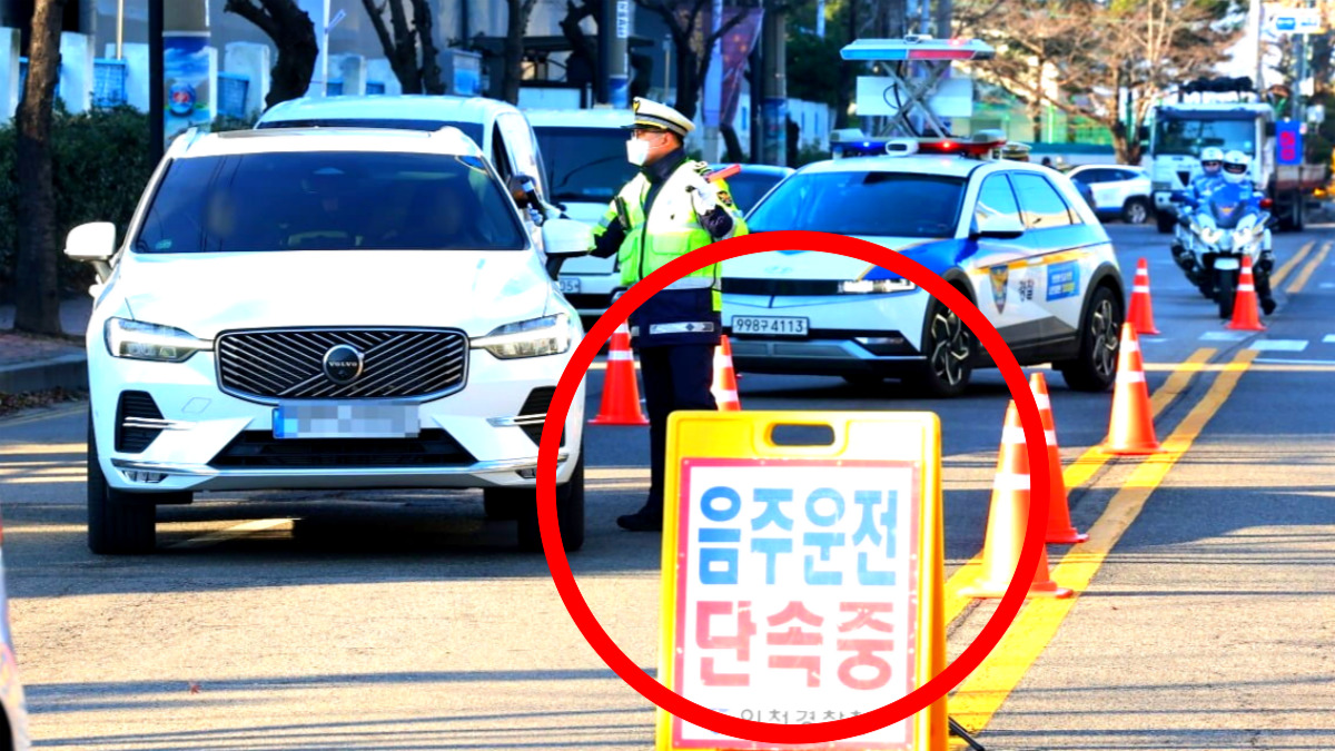 2026 도로교통법 변경사항