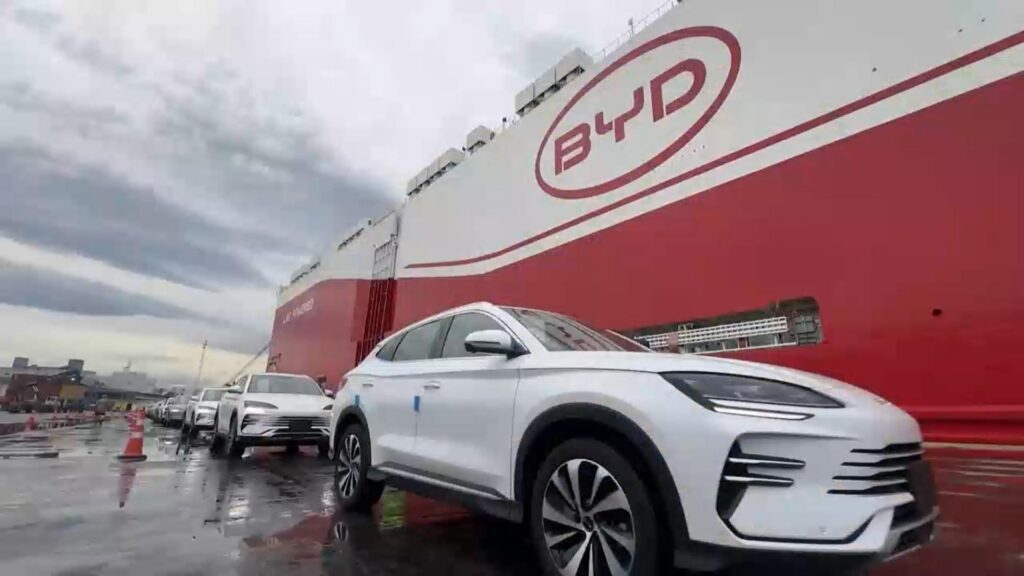 BYD 한국 시장 성공