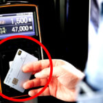 군내버스 전면 무료