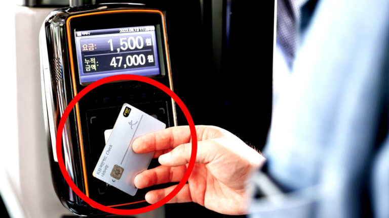 군내버스 전면 무료