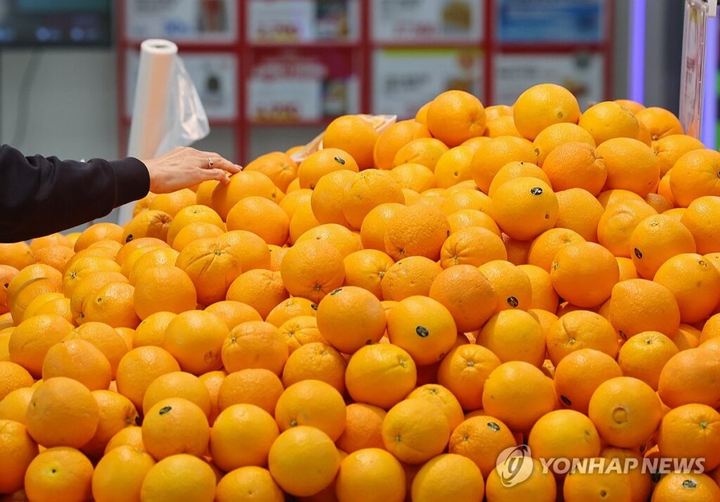 "밥줄 다 끊기게 생겼어요"…미국서 "공짜로" 들어온단 소식에 제주 '초비상' 3 만다린 관세 철폐
