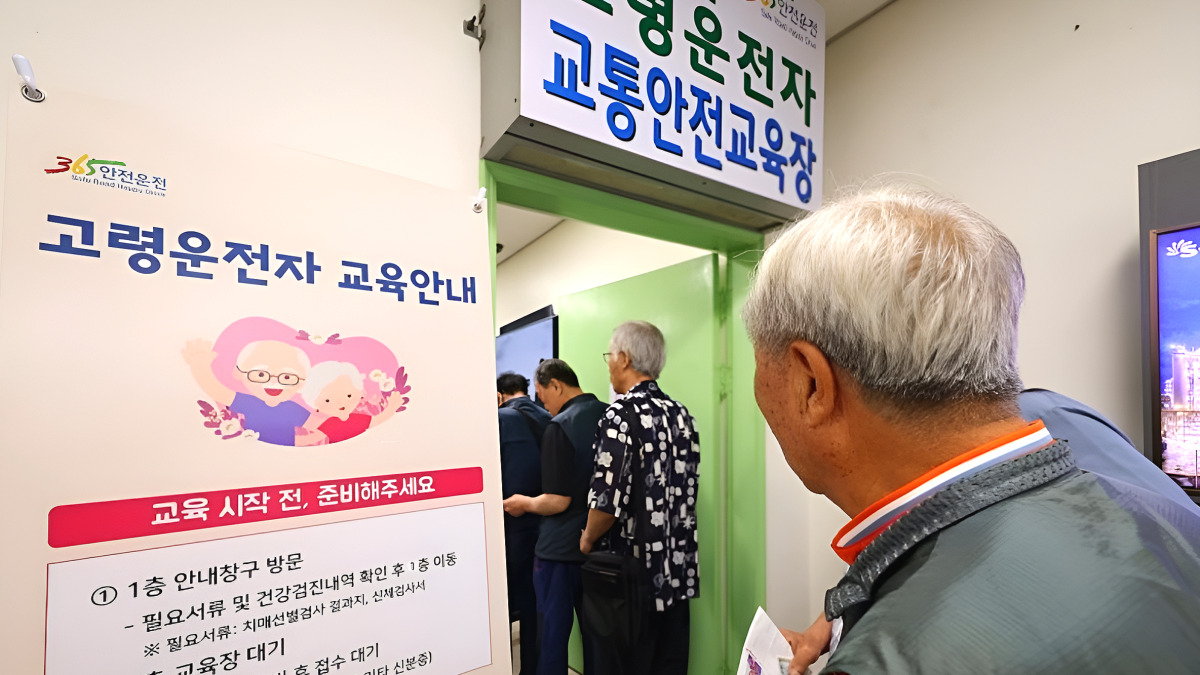 고령 운전자 기준 재검토 필요성 제기