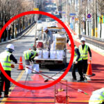 스쿨존 속도 하향