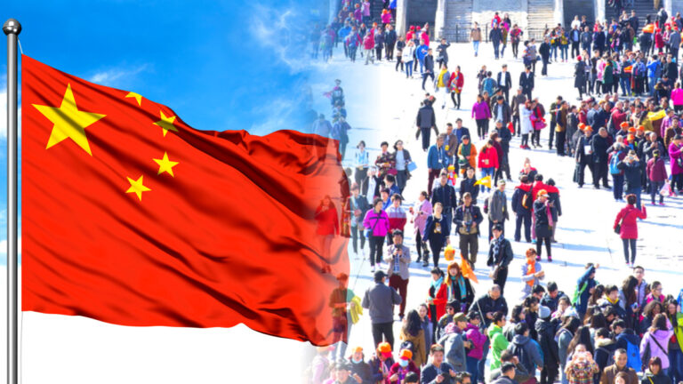 외국인 취업자 현황