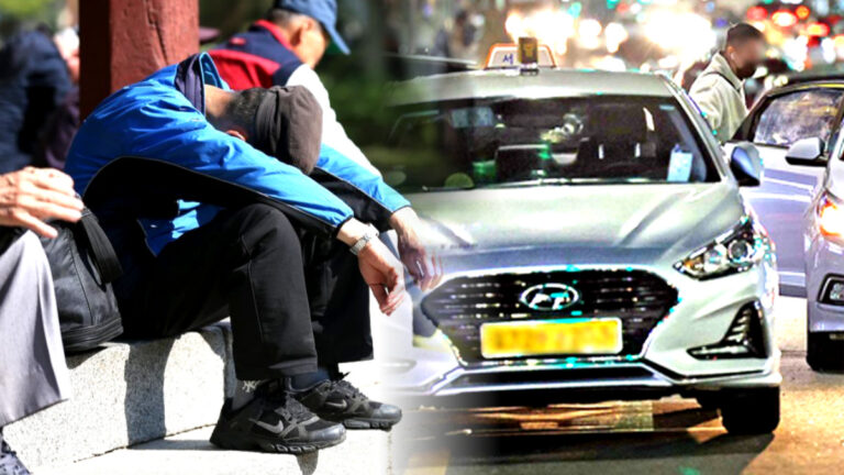 택시 부제 해제 문제