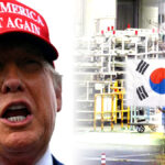 트럼프 내연기관 보호 정책