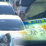 12월 중고차 시세