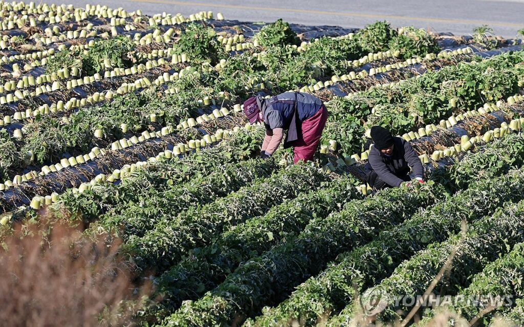 "나라의 근간이 무너진다"…5060 '우르르' 떠나자, 대한민국 '초유의 사태' 2 농업 소멸 위기