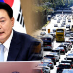 연두색 번호판 제도 실효성