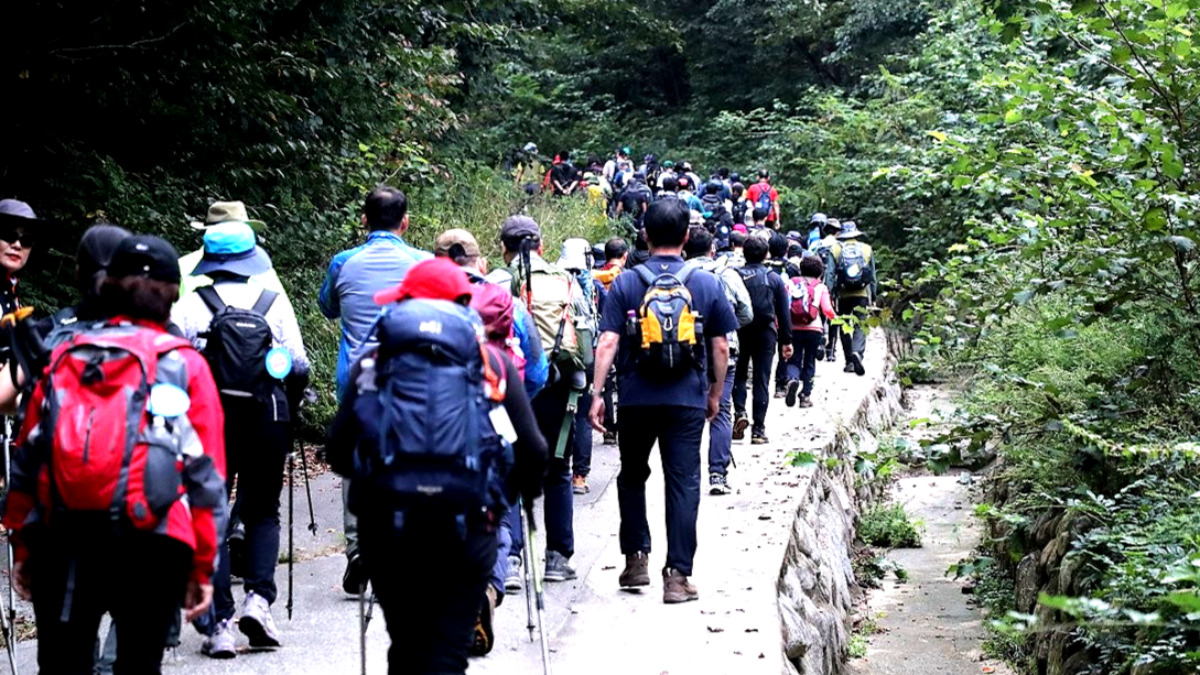 중장년층 추천 운동