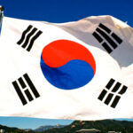 한국 소프트웨어 실적