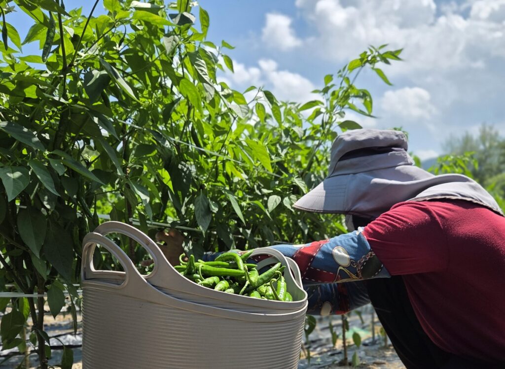 겨울철 건강 관리법