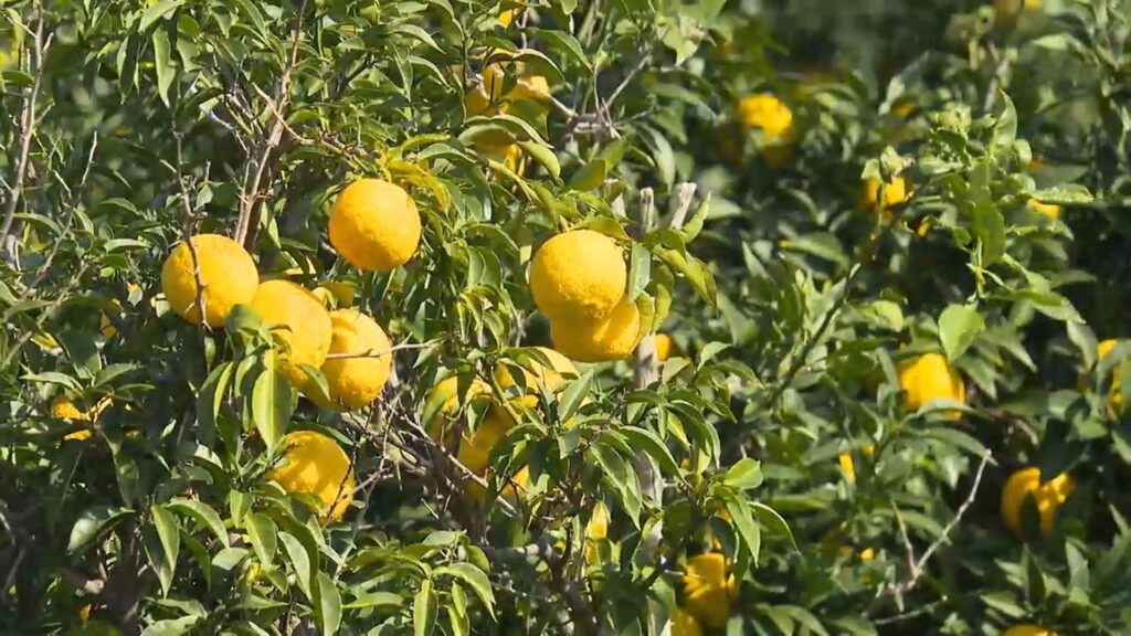 겨울철 건강 관리법