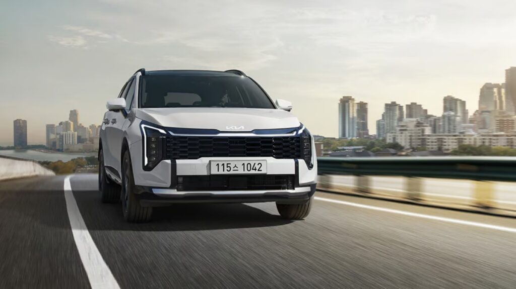 "과장급은 쏘나타, 부장급은 그랜저"…"이젠 옛말", 확 변한 차 구매표 보니 3 자동차 양극화