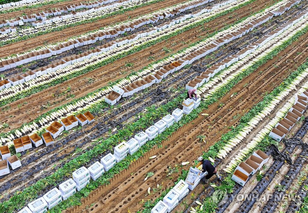 경남형 버스 완전공영제