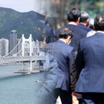 부산 청년 고용률 회복