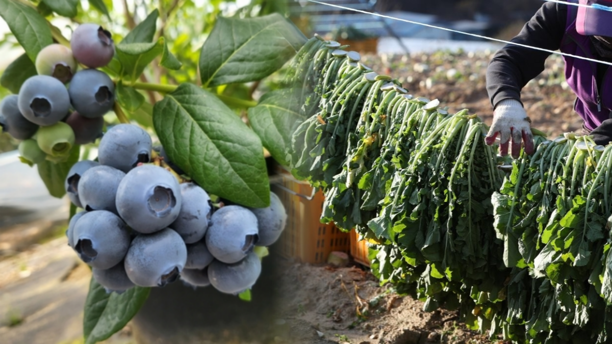 대사증후군 예방