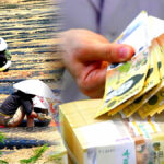 농어촌 기본소득