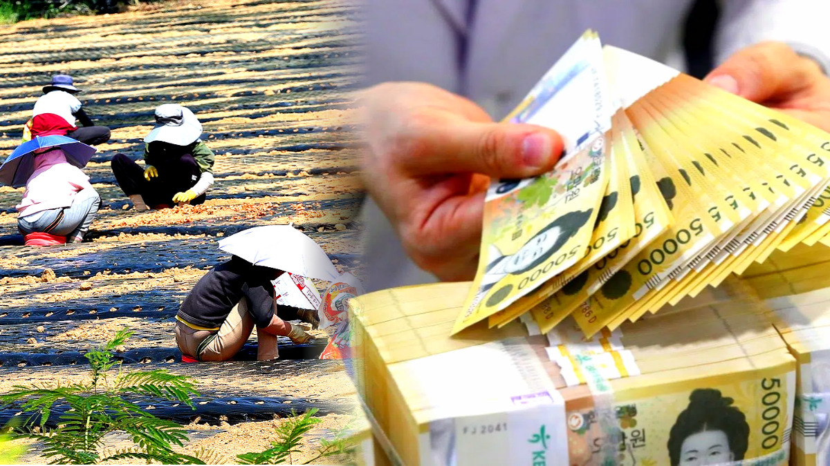 농어촌 기본소득