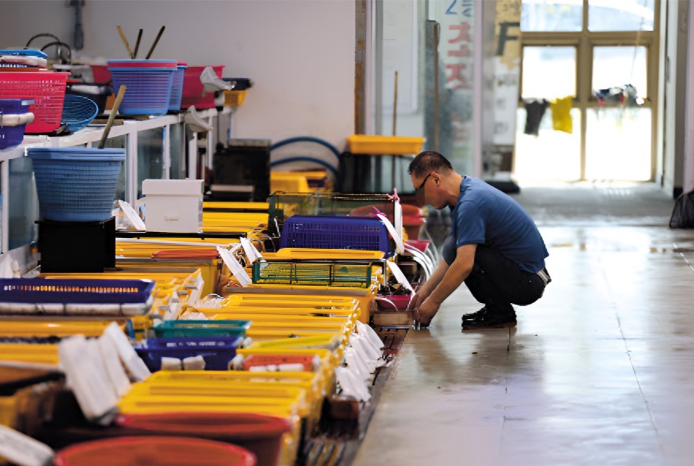 자영업자 채무불이행