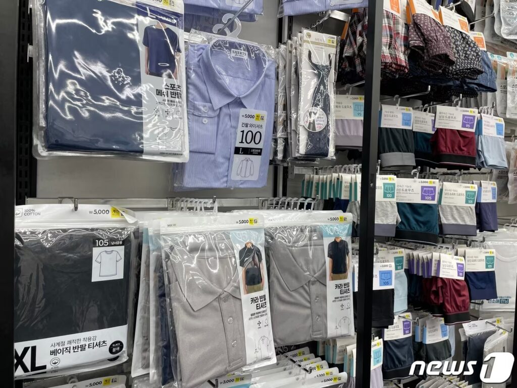 다이소 패션 부문 확장