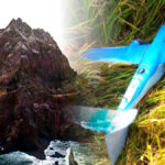 그리스 호위함 전진 배치