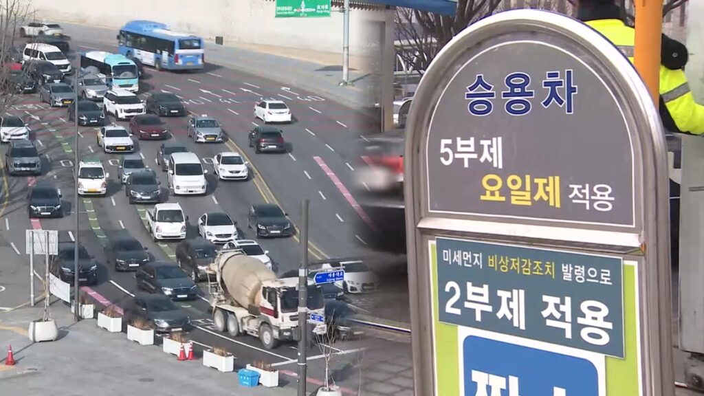 정부 차량 부제 운행 검토
