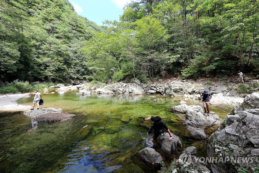 정부 여행 무상 지원